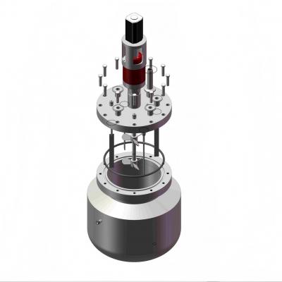 ChemTron NR-20L中压反应釜